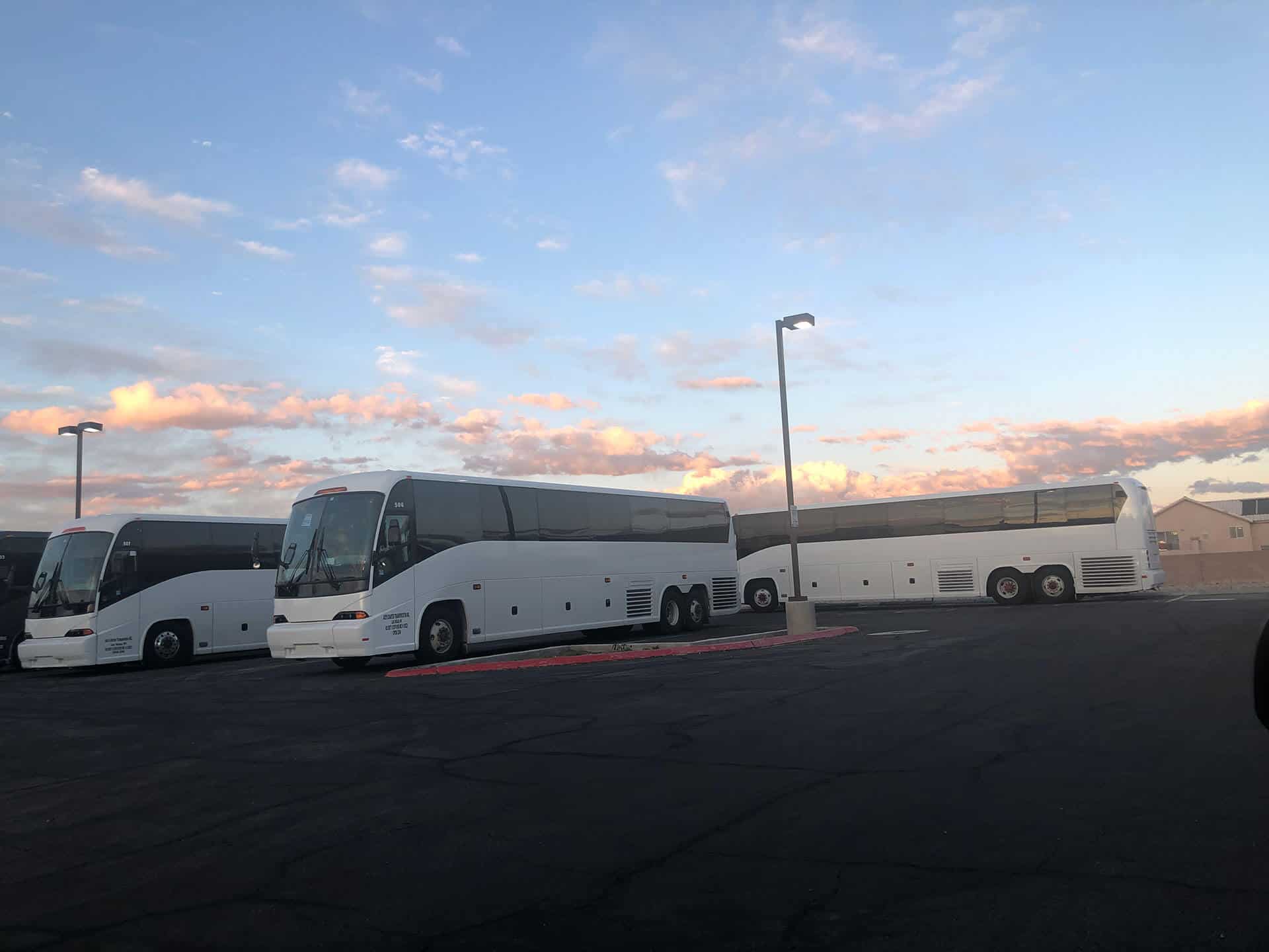 Three charter buses were parked in the afternoon