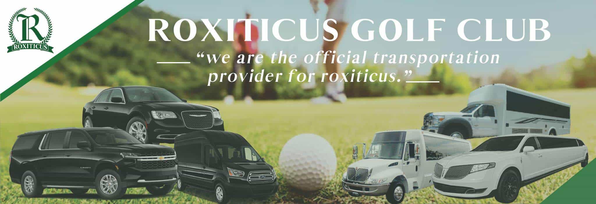 Roxiticus golf club with a blurry background of a golfer